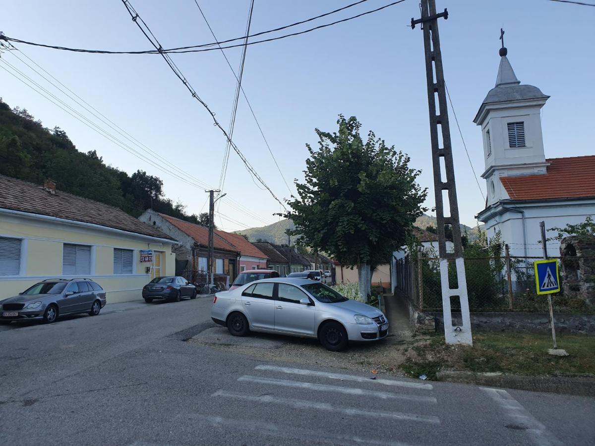 Albina Dunareana Hotel Berzasca Bagian luar foto