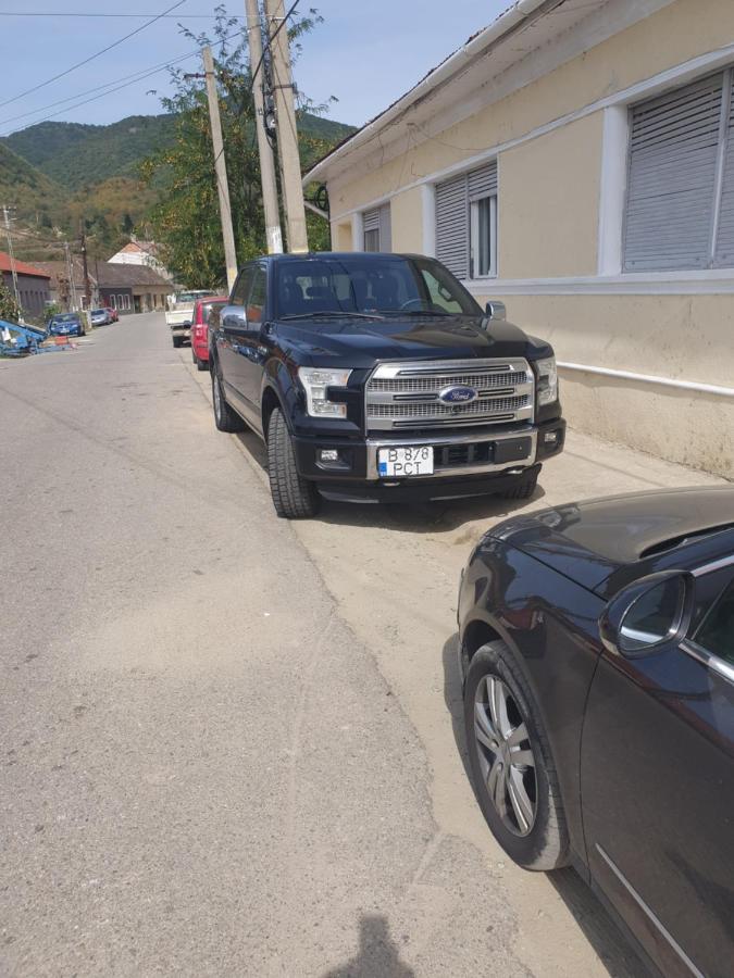 Albina Dunareana Hotel Berzasca Bagian luar foto